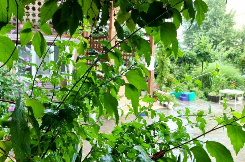 Изображение Изображение гостиницы "Гостевой дом «Флагман»" #7 #7