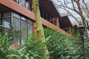 Изображение отеля / гостиницы "База отдыха «Жемчужина Кавказа»"