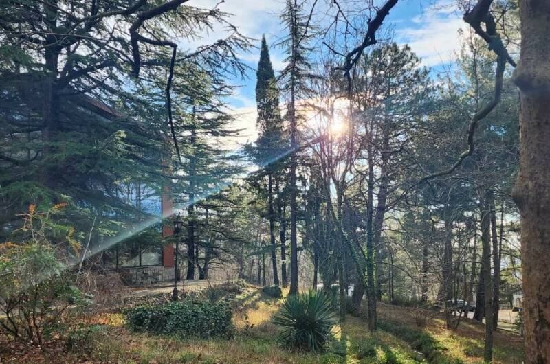 Изображение Изображение гостиницы &quot;База отдыха «Жемчужина Кавказа»&quot; #3 #3