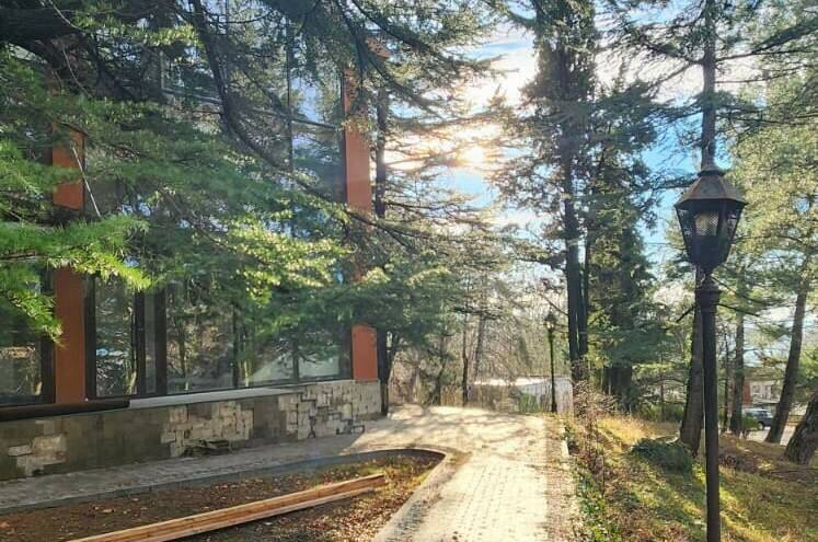 Изображение Изображение гостиницы &quot;База отдыха «Жемчужина Кавказа»&quot; #4 #4