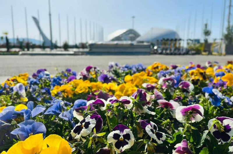 Изображение Изображение отеля / гостиницы "Гостевой дом «ЦитруS»" #11 #9