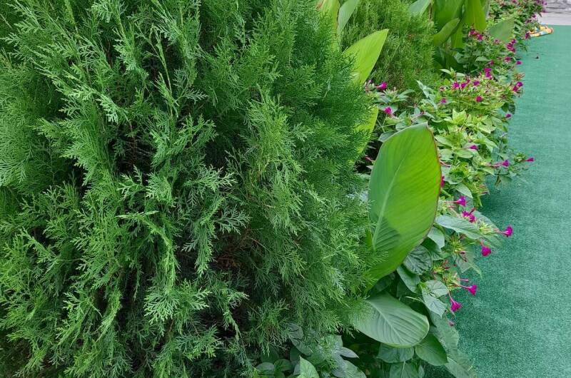 Изображение Изображение гостиницы &quot;Гостевой дом «Семейный»&quot; #6 #6