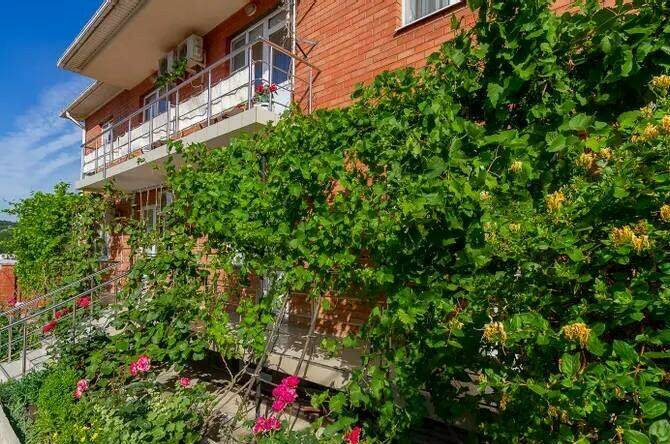 Изображение Изображение гостиницы &quot;Гостевой дом «Роза»&quot; #5 #5