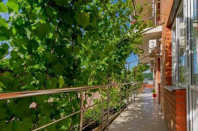 Изображение Изображение гостиницы &quot;Гостевой дом «Роза»&quot; #8 #8