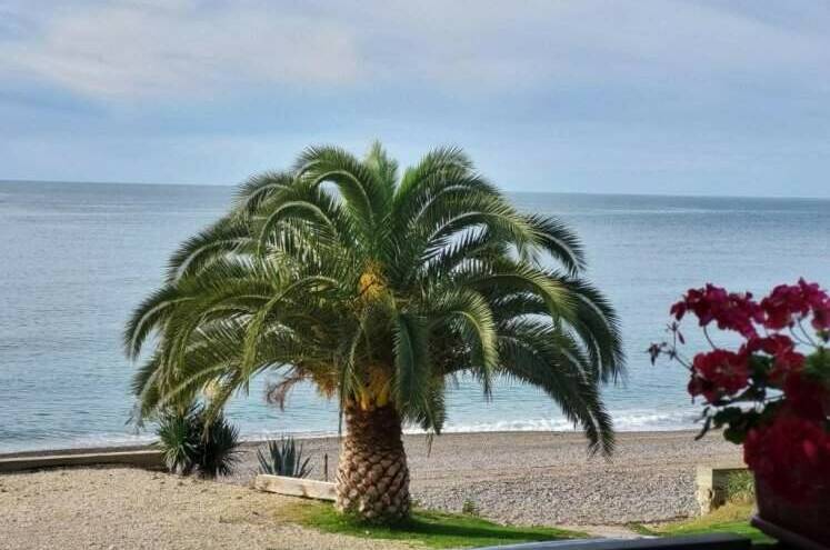 Изображение Изображение гостиницы "Гостевой дом «Arsaul»" #8 #8