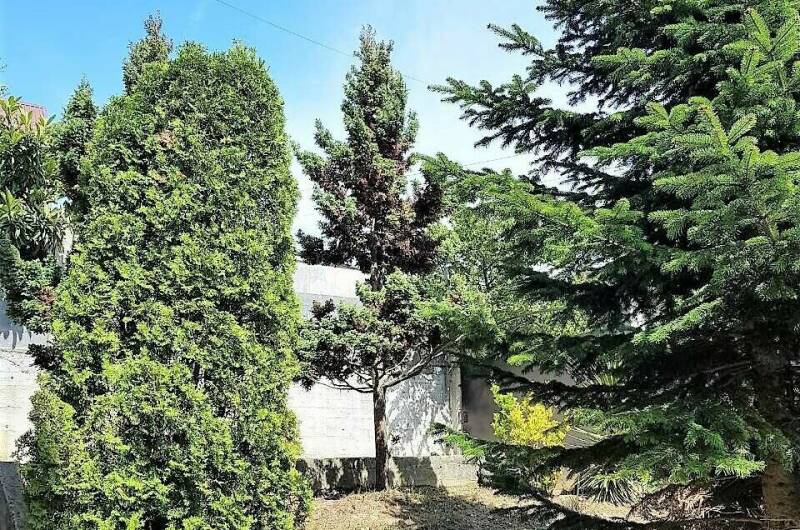 Изображение Изображение отеля / гостиницы "Гостевой дом «Тропиканка»" #11 #9