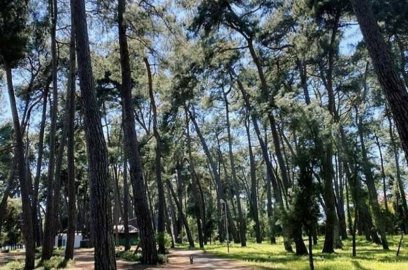 Изображение Изображение отеля / гостиницы "Гостевой дом «Лдзаа»" #11 #9