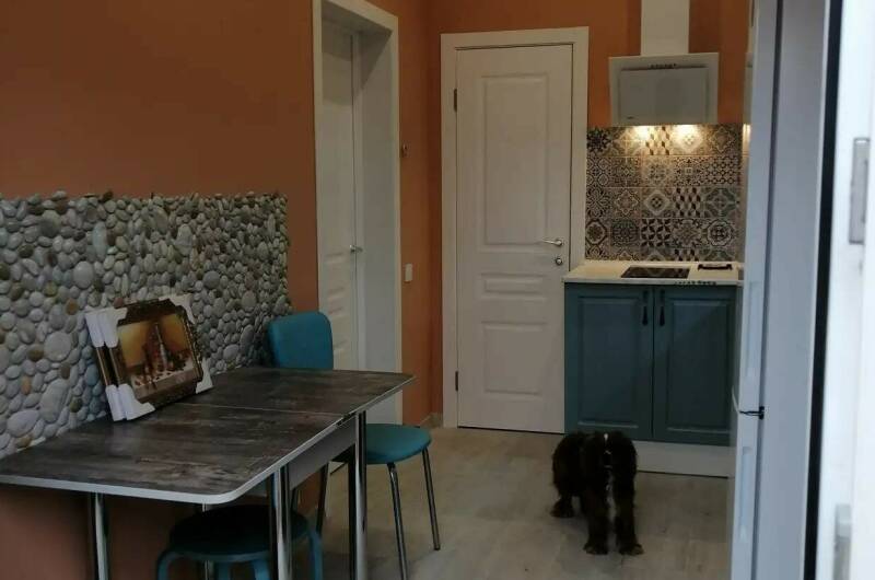 Изображение Изображение квартиры "Апартаменты с отдельным входом в частном доме" #7 #7