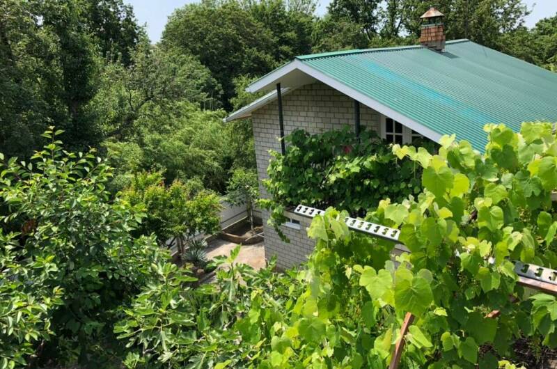 Изображение Изображение гостиницы &quot;Студии и дом под ключ ГК «Шепот бамбука»&quot; #4 #4