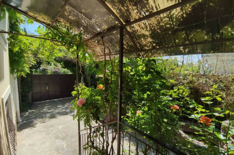 Изображение Изображение гостиницы &quot;Гостевой дом «Баттерфляй»&quot; #6 #6