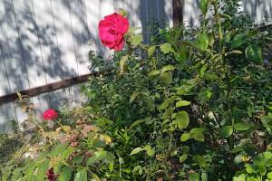 Изображение квартиры "Домик под ключ"