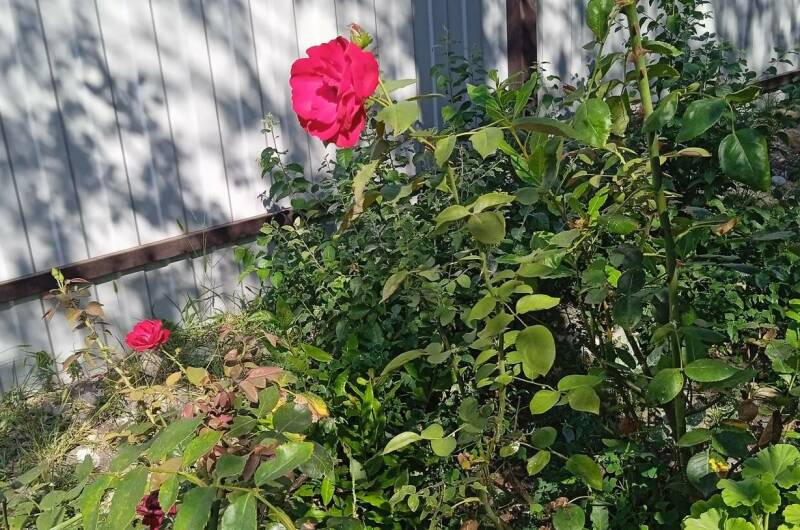 Изображение Изображение квартиры "Домик под ключ" #1 #1