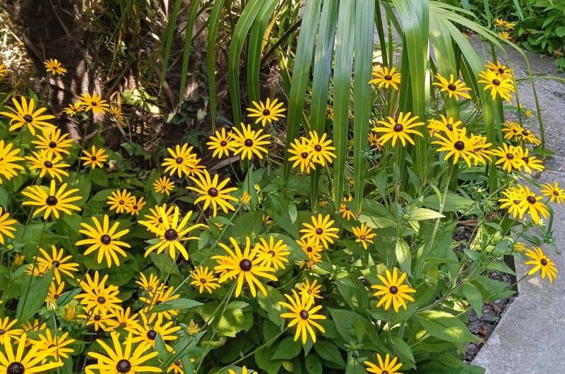 Изображение Изображение квартиры "Домик под ключ" #2 #2