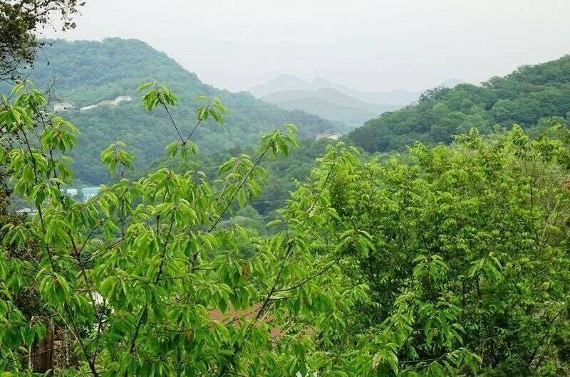 Изображение Изображение гостиницы "Гостевой дом «Агава»" #6 #6