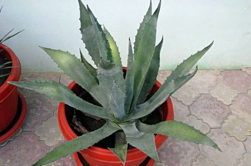 Изображение Изображение гостиницы &quot;Мини-отель «77»&quot; #2 #2