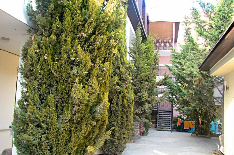 Изображение Изображение гостиницы &quot;Мини-отель «77»&quot; #3 #3