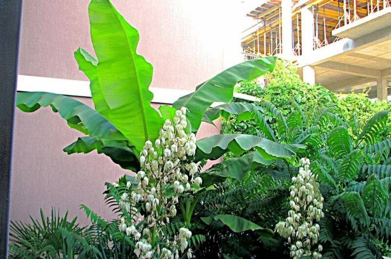 Изображение Изображение гостиницы &quot;Мини-отель «77»&quot; #8 #8