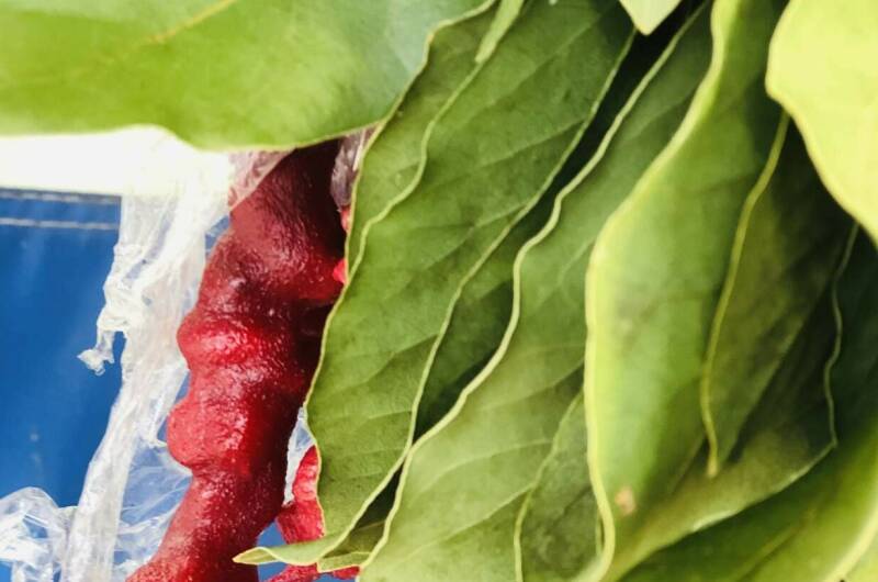 Изображение Изображение гостиницы "Гостевой дом «Del Mar»" #3 #3