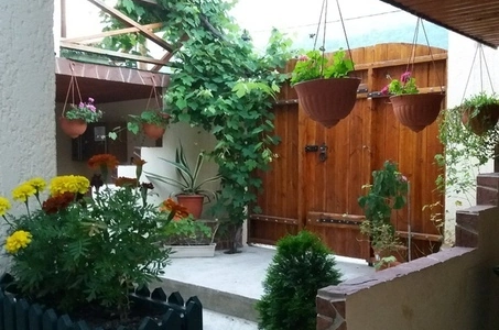 Изображение Изображение гостиницы "Гостевой дом «Del Mar»" #5 #5