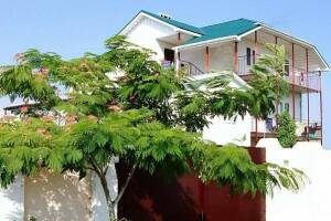 Изображение гостиницы "Частное домовладение «Оазис»"