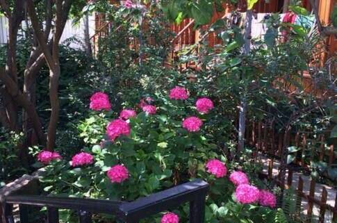 Изображение Изображение отеля / гостиницы "Гостевой дом «Авраам отдыхает»" #10 #8