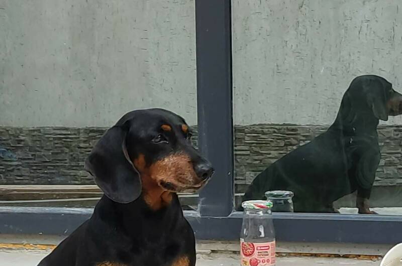 Изображение Изображение гостиницы &quot;Гостевой дом «Кудыкина гора»&quot; #4 #4