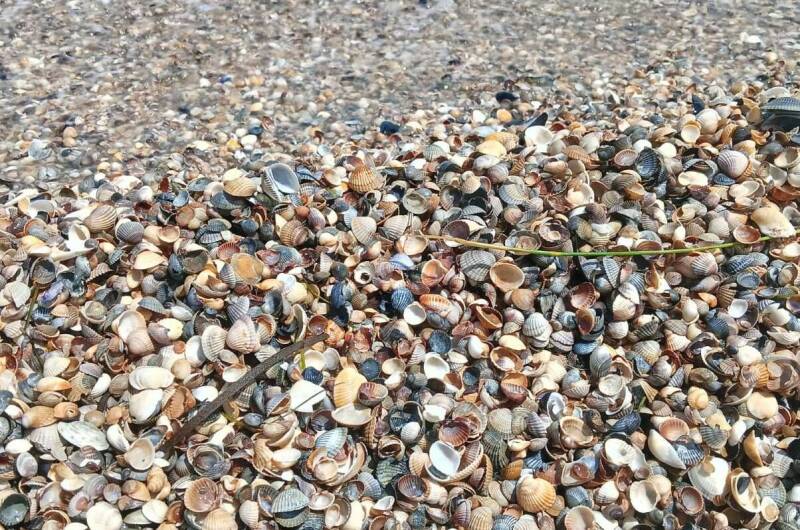 Изображение Изображение квартиры &quot;Дом под ключ «Дача у моря»&quot; #7 #7