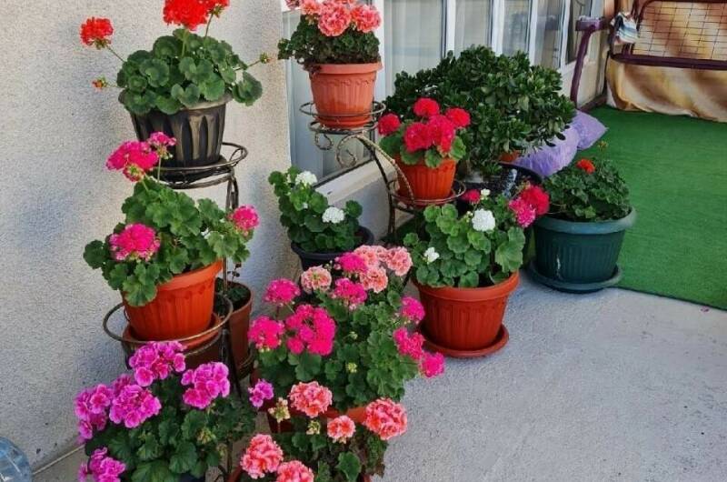 Изображение Изображение гостиницы &quot;Гостевой дом «Карнавал»&quot; #5 #5