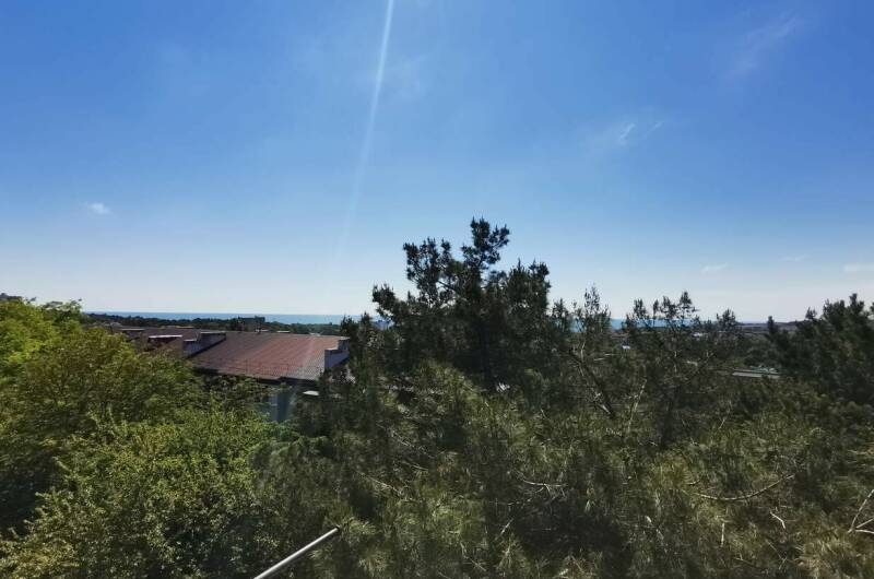 Изображение Изображение квартиры &quot;3-х комнатная квартира&quot; #2 #2