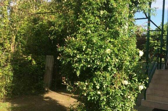 Изображение Изображение гостиницы "Гостевой дом «Гудаута»" #6 #6