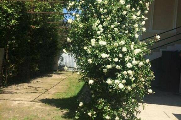 Изображение Изображение отеля / гостиницы "Гостевой дом «Гудаута»" #10 #8