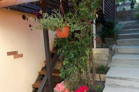 Изображение Изображение гостиницы &quot;Домики «Ольга»&quot; #2 #2