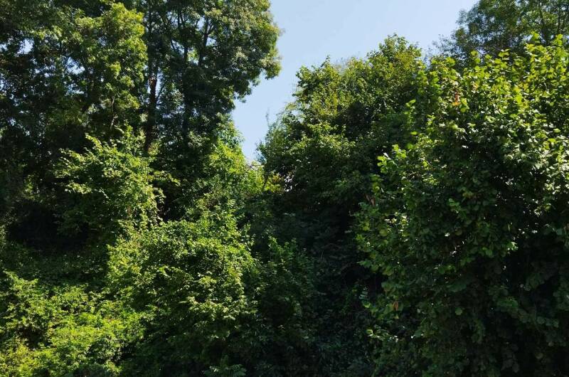 Изображение Изображение гостиницы &quot;Гостевой дом «Семейный»&quot; #4 #4