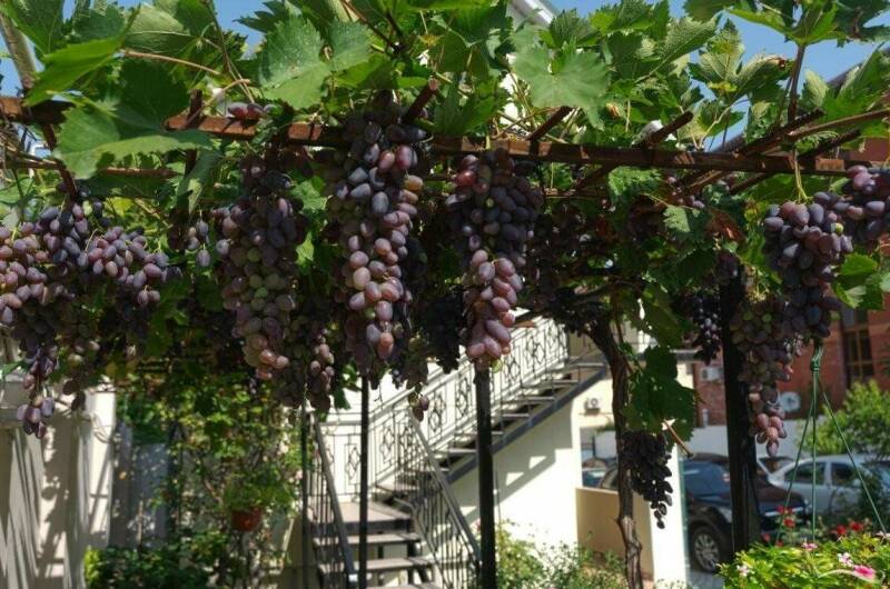 Изображение Изображение гостиницы &quot;Гостевой дом «Виктория Плюс ЕР»&quot; #3 #3