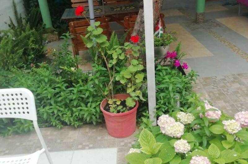 Изображение Изображение гостиницы "Гостевой дом «У Седы Сергеевны»" #5 #5