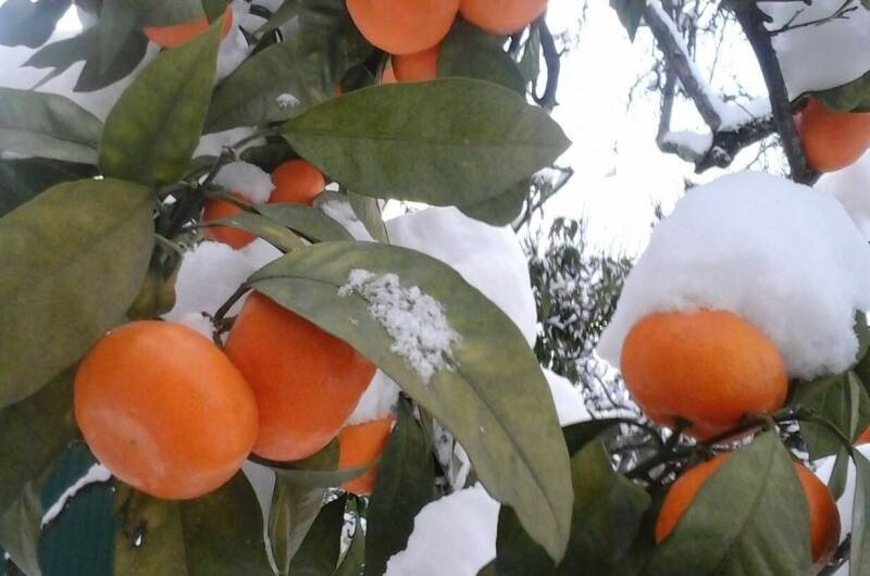 Изображение Изображение гостиницы "Гостевой дом «Барс» (Irbis)" #3 #3