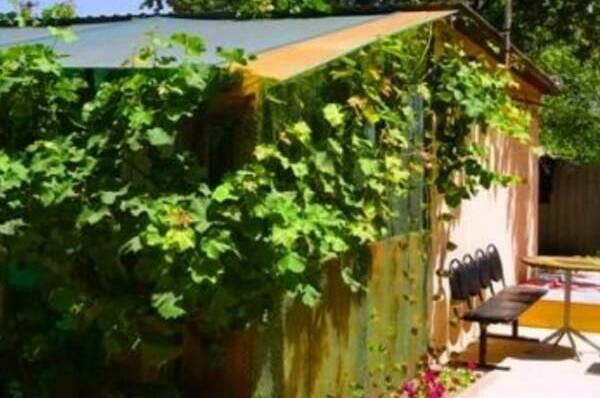 Изображение Изображение гостиницы "Гостевой дом «Камелия»" #7 #7