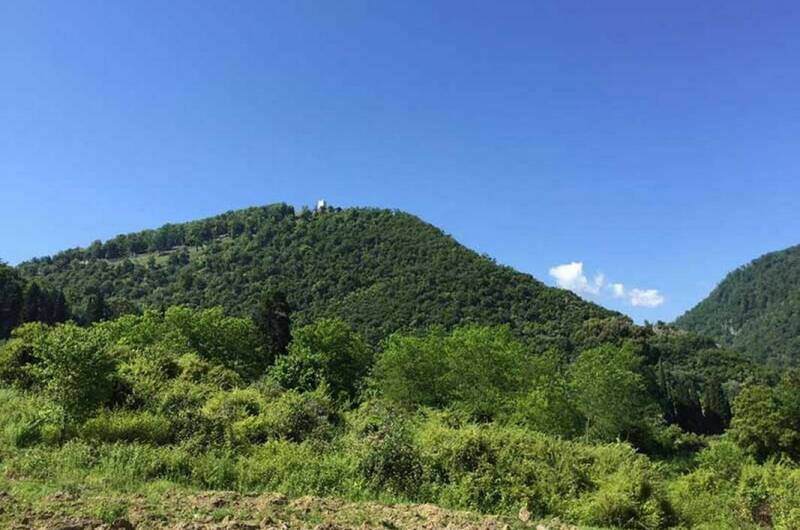 Изображение Изображение гостиницы &quot;Отель «Мира»&quot; #4 #4