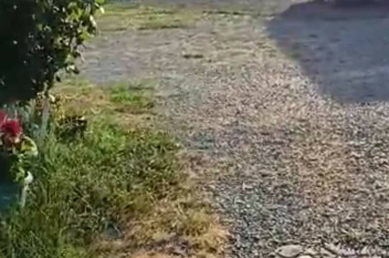 Изображение Изображение гостиницы &quot;Гостевой дом «Море зовёт»&quot; #7 #7