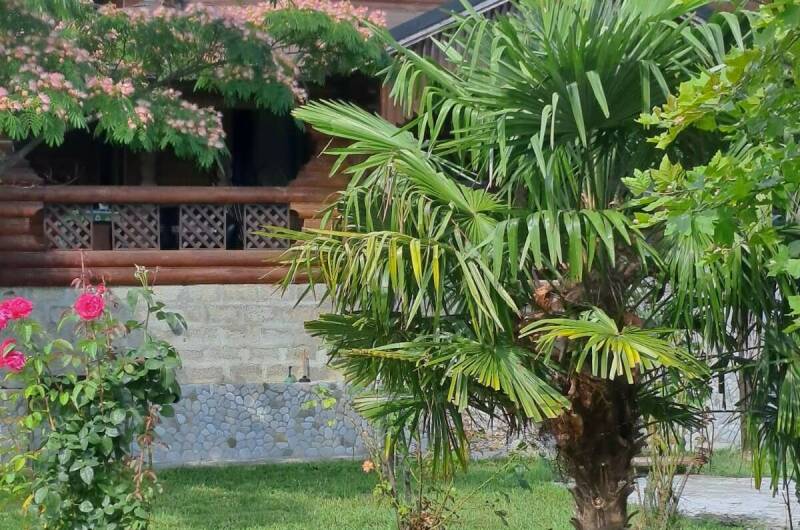 Изображение Изображение гостиницы "База отдыха «Шепси»" #3 #3