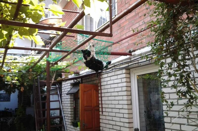 Изображение Изображение гостиницы &quot;Гостевой дом «На Крымской»&quot; #4 #4