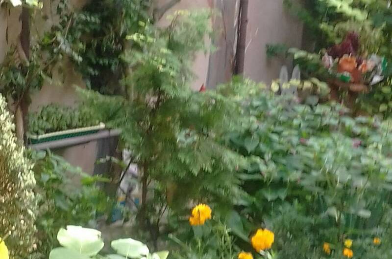 Изображение Изображение гостиницы &quot;Гостевой дом «На Крымской»&quot; #6 #6