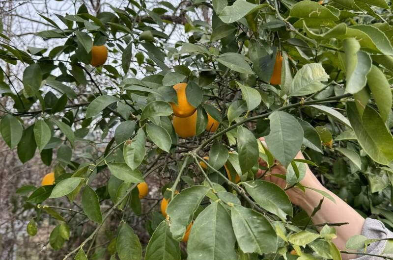 Изображение Изображение отеля / гостиницы "Гостевой дом «Счастливый дом»" #11 #9