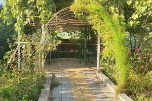 Изображение отеля / гостиницы "Гостевой дом «У Розы»"