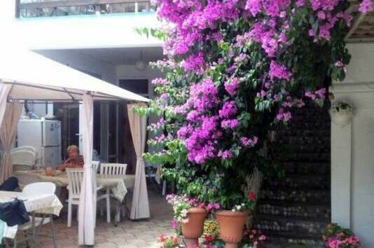 Изображение Изображение гостиницы "Гостевой дом «Бугенвилия»" #2 #2