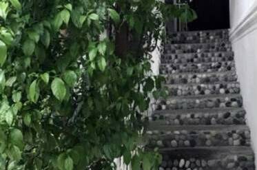 Изображение Изображение гостиницы "Гостевой дом «Бугенвилия»" #7 #7