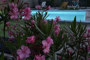 Изображение отеля / гостиницы "Гостевой дом «Сюзанна»"