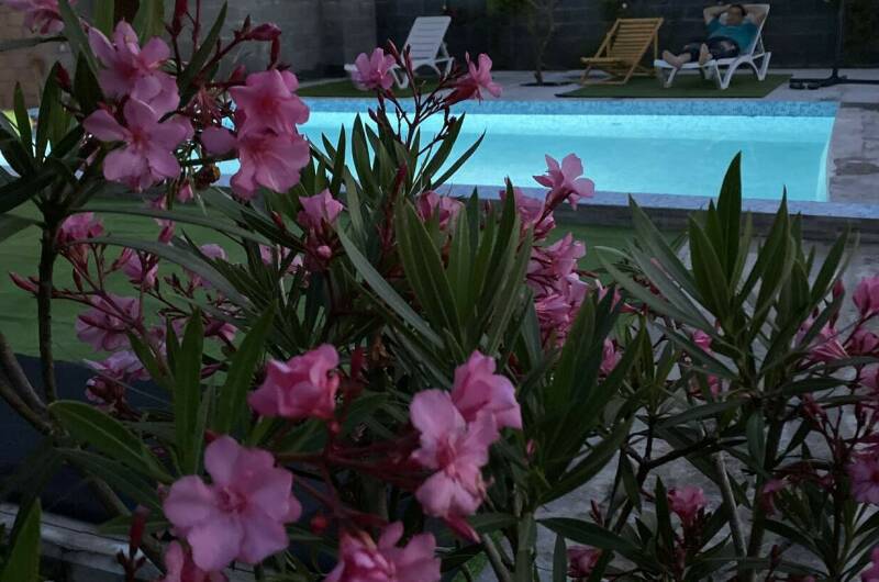 Изображение Изображение гостиницы "Гостевой дом «Сюзанна»" #1 #1