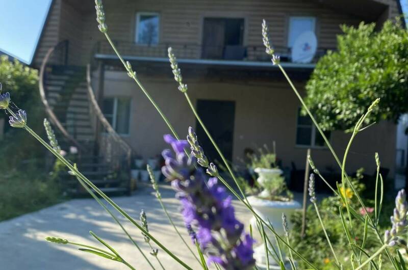 Изображение Изображение гостиницы "Гостевой дом «Сюзанна»" #6 #6