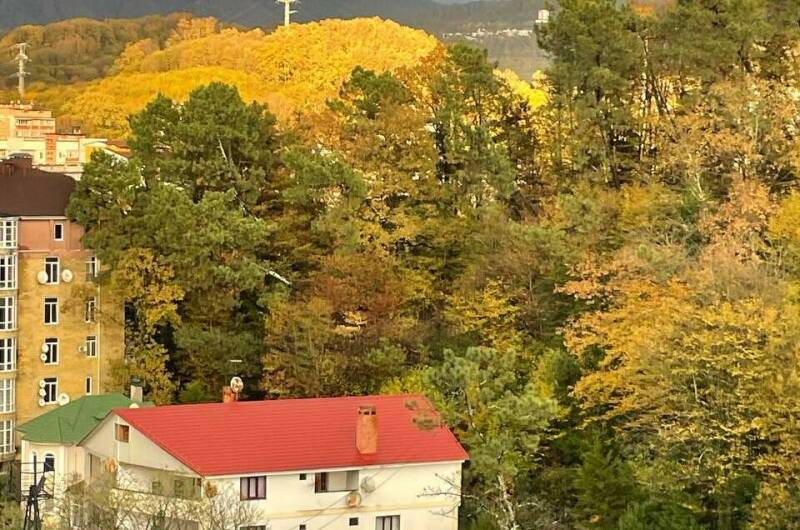 Изображение Изображение квартиры &quot;Студия ЖК «Аллея Парк»&quot; #2 #2